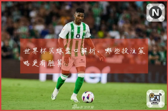 世界杯买球盘口解析，哪些投注策略更有胜算
