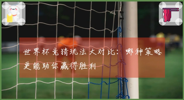 世界杯竞猜玩法大对比：哪种策略更能助你赢得胜利