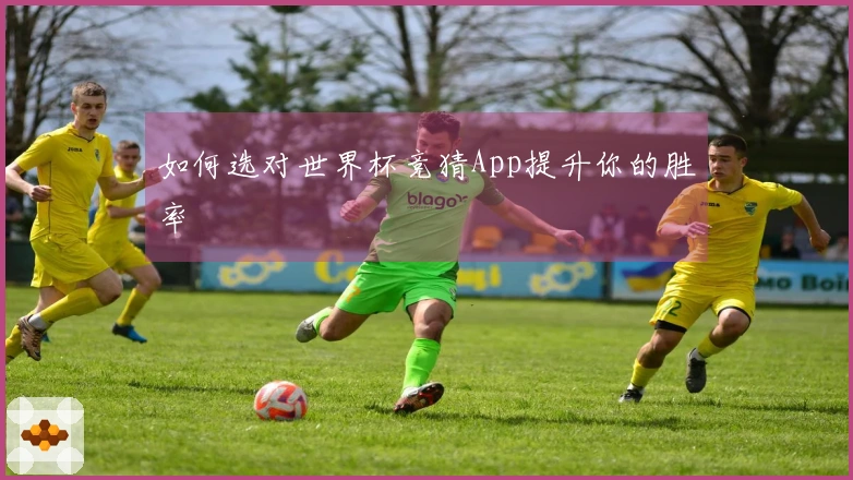 如何选对世界杯竞猜App提升你的胜率
