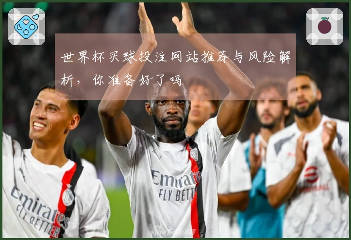 世界杯买球投注网站推荐与风险解析，你准备好了吗