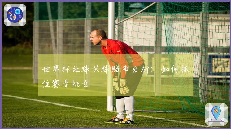 世界杯让球买球赔率分析：如何抓住赛季机会