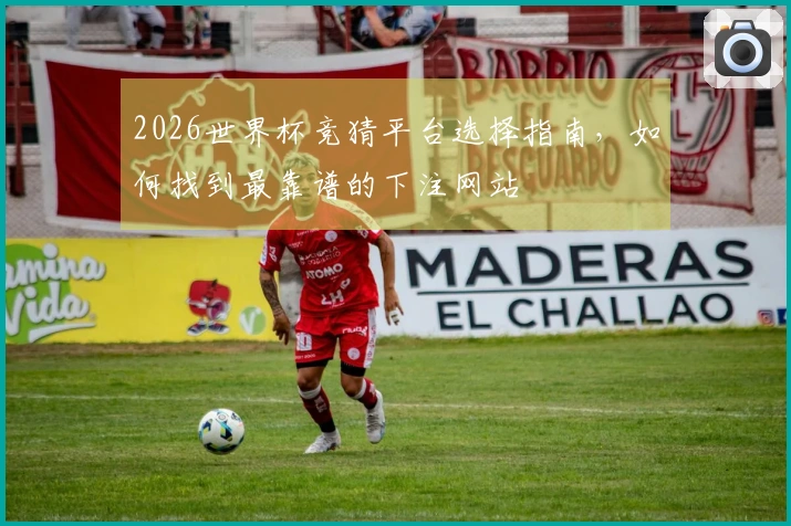 2026世界杯竞猜平台选择指南，如何找到最靠谱的下注网站