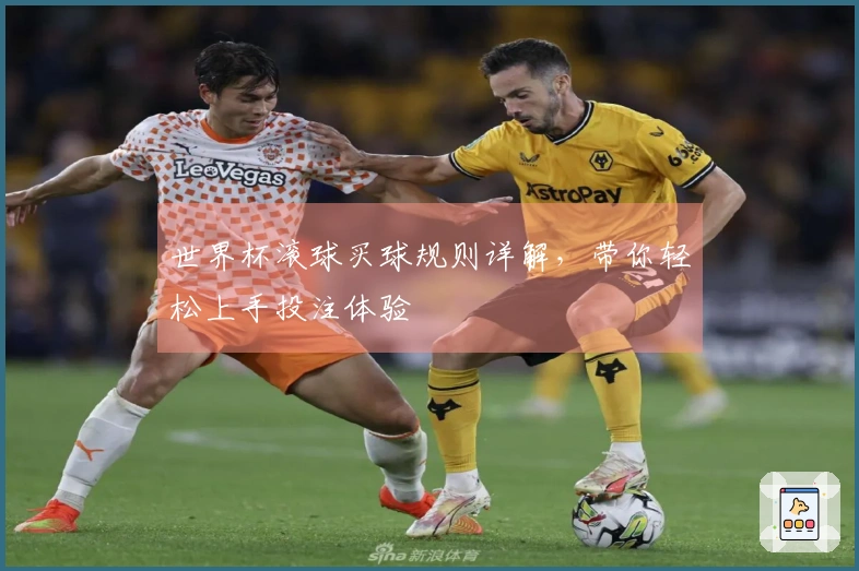 世界杯滚球买球规则详解，带你轻松上手投注体验