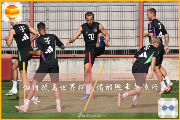 如何提高世界杯竞猜的胜率与技巧分享