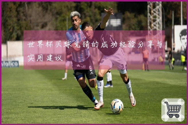 世界杯买球竞猜的成功经验分享与实用建议