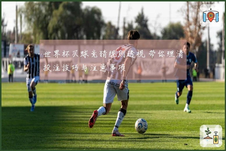 世界杯买球竞猜规则透视 带你理清投注技巧与注意事项