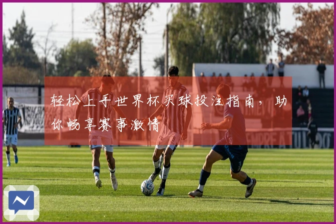 轻松上手世界杯买球投注指南，助你畅享赛事激情