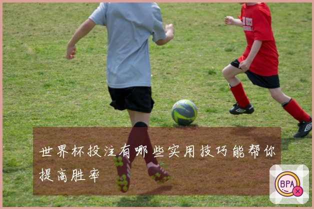 世界杯投注有哪些实用技巧能帮你提高胜率
