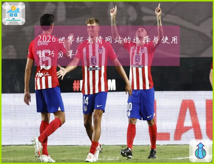 2026世界杯竞猜网站的选择与使用技巧分享